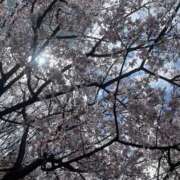 はな ☔️明日は晴れるかな？☔️明日の出勤🍒 見学娘