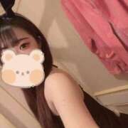 ヒメ日記 2026/03/24 12:04 投稿 はつね ドMなバニーちゃん徳島店