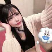 ヒメ日記 2026/04/14 09:03 投稿 しゅり JAPAN CLUB BUNNY LOUNGE