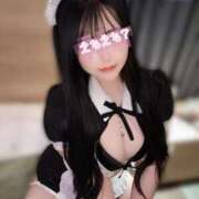 ヒメ日記 2026/04/14 09:08 投稿 しゅり JAPAN CLUB BUNNY LOUNGE