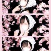 ヒメ日記 2026/04/13 12:01 投稿 夢乃こあ ラブアイドル