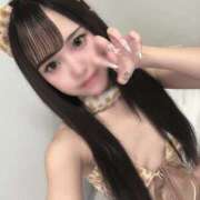 ヒメ日記 2026/04/15 12:00 投稿 夢乃こあ ラブアイドル