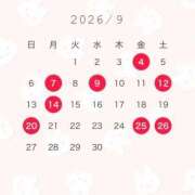ヒメ日記 2026/08/28 09:21 投稿 明莉【アカリ】 ピンクコレクション大阪