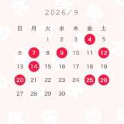 ヒメ日記 2026/08/28 09:19 投稿 明莉【アカリ】 ピンクコレクション大阪キタ店