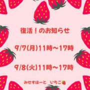 ヒメ日記 2026/09/06 20:59 投稿 いちご みせすはーと
