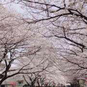 ヒメ日記 2026/03/24 11:57 投稿 れな 池袋人妻城