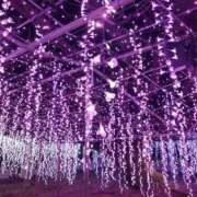 ヒメ日記 2026/03/25 12:12 投稿 れな 池袋人妻城