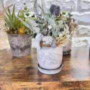 ヒメ日記 2026/03/23 09:09 投稿 鈴木蒼良 五十路マダム 田辺店