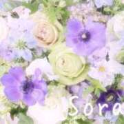 ヒメ日記 2026/10/14 23:59 投稿 鈴木蒼良 五十路マダム 田辺店