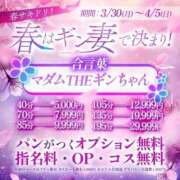 ヒメ日記 2026/03/28 13:50 投稿 るな ギン妻パラダイス 堺東店