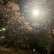 ヒメ日記 2026/04/07 15:45 投稿 るな ギン妻パラダイス 堺東店