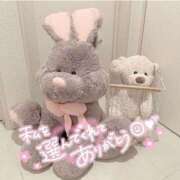 ヒメ日記 2026/04/28 22:18 投稿 るな ギン妻パラダイス 堺東店