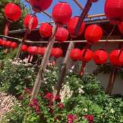 るな バラ祭り🌹 ギン妻パラダイス 堺東店