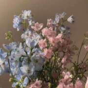 ヒメ日記 2026/03/31 23:42 投稿 まな 西川口ぷよステーション