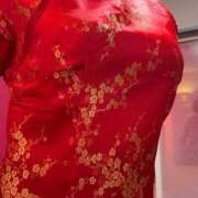 ヒメ日記 2026/03/29 13:04 投稿 ろびん・SP やまとなでしこ桜組