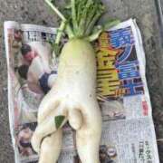 八乃【はちの】 はちのですっ ★無料オプション多数★成田若妻即即サークル【日本人専門店】