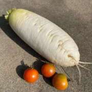 八乃【はちの】 はちのです♡ ★無料オプション多数★成田若妻即即サークル【日本人専門店】