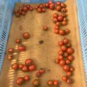 ヒメ日記 2026/03/26 10:42 投稿 つむぎ 女の子がセルフで撮影する店！！成田デリヘル『生パネル』伝説