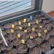 ヒメ日記 2026/03/26 10:48 投稿 つむぎ 女の子がセルフで撮影する店！！成田デリヘル『生パネル』伝説