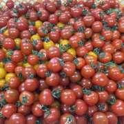 ヒメ日記 2026/03/26 18:21 投稿 つむぎ 女の子がセルフで撮影する店！！成田デリヘル『生パネル』伝説