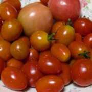 つむぎ お礼♡ファーストウッド本指名様90分 女の子がセルフで撮影する店！！成田デリヘル『生パネル』伝説