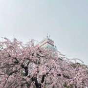 ヒメ日記 2026/03/23 11:58 投稿 早見 鶯谷人妻城