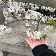ヒメ日記 2026/04/28 14:53 投稿 早見 鶯谷人妻城