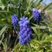 ヒメ日記 2026/03/30 10:31 投稿 ひみこ 熟女の風俗最終章 本厚木店