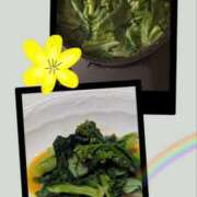 ヒメ日記 2026/03/31 20:02 投稿 ひみこ 熟女の風俗最終章 本厚木店