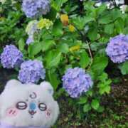 さとみ 💕本指Ｏ様💕いつもありがとう 春日部人妻花壇