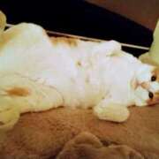 ヒメ日記 2026/04/21 09:17 投稿 ありす clubさくら難波店