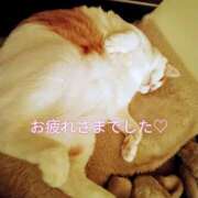 ヒメ日記 2026/05/14 20:57 投稿 ありす clubさくら難波店