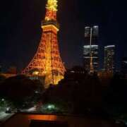 ヒメ日記 2026/04/29 15:18 投稿 ゆりな 東京エステコレクション 新橋・銀座