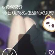 ヒメ日記 2026/04/11 14:25 投稿 いおり Beppin house