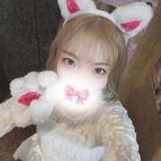 ヒメ日記 2026/04/22 12:22 投稿 こはく あふたーすくーる