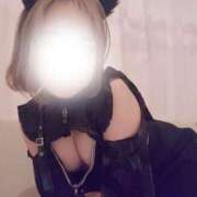 ヒメ日記 2026/04/26 11:20 投稿 こはく あふたーすくーる