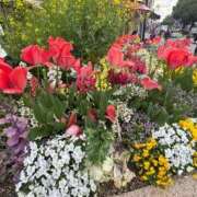 ヒメ日記 2026/04/13 19:04 投稿 ゆり Wonder7 (ワンダー7)