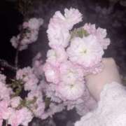 ヒメ日記 2026/04/19 02:14 投稿 きい 奈良市ちゃんこ