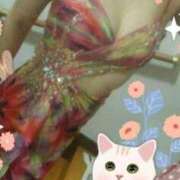 ヒメ日記 2026/03/31 08:47 投稿 せいこ 俺のヤバい妻。(谷九)