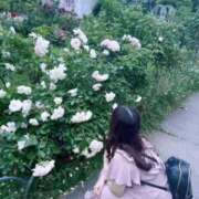ヒメ日記 2026/07/14 15:14 投稿 ほたる ぐらどるえっぐ