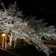 ヒメ日記 2026/04/09 23:41 投稿 藤堂 かほ 大奥 難波店