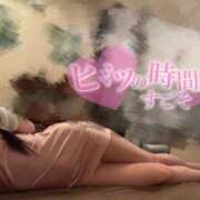 ヒメ日記 2026/04/29 09:02 投稿 みる The White
