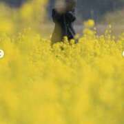 ヒメ日記 2026/03/28 11:16 投稿 三倉 茉奈 熟女・人妻マダム宮殿