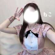 ヒメ日記 2026/04/02 15:30 投稿 ねこ コンカフェ×オナクラ ＠LOVE渋谷店