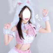 ヒメ日記 2026/04/08 08:01 投稿 ねこ コンカフェ×オナクラ ＠LOVE渋谷店