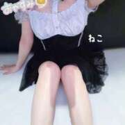 ヒメ日記 2026/04/12 00:41 投稿 ねこ コンカフェ×オナクラ ＠LOVE渋谷店