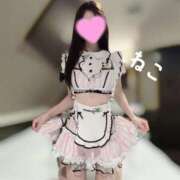 ヒメ日記 2026/04/12 14:13 投稿 ねこ コンカフェ×オナクラ ＠LOVE渋谷店