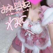 ヒメ日記 2026/04/12 19:01 投稿 ねこ コンカフェ×オナクラ ＠LOVE渋谷店