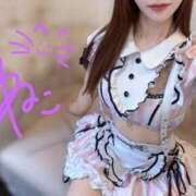 ヒメ日記 2026/04/18 13:51 投稿 ねこ コンカフェ×オナクラ ＠LOVE渋谷店