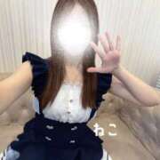 ヒメ日記 2026/04/19 14:51 投稿 ねこ コンカフェ×オナクラ ＠LOVE渋谷店